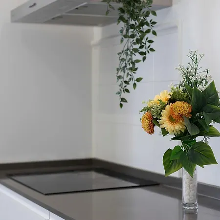 Aticos Lux Sevilla Piscina Parking Apartment *